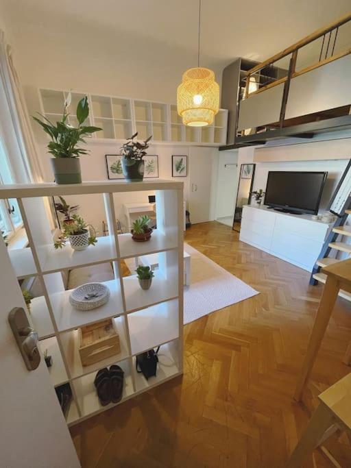 Stefanka Apartment Old Town Братислава Экстерьер фото